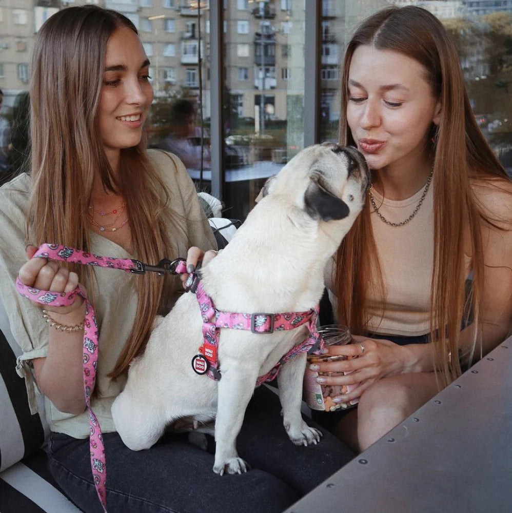 Waudog Nylon Dog Leash - Unicorns - L