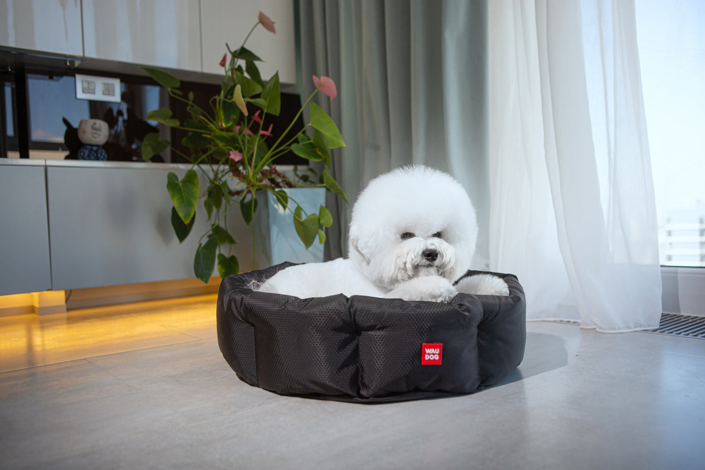 Waudog Relax Pet Bed -  Wonder Woman - S