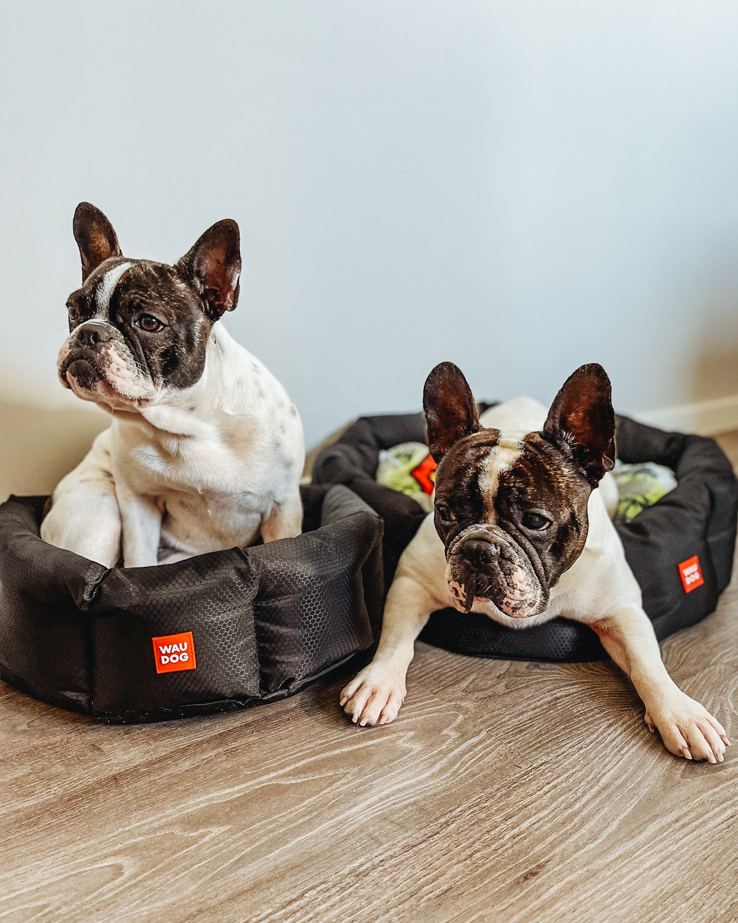 Waudog Relax Pet Bed -  Superman - L