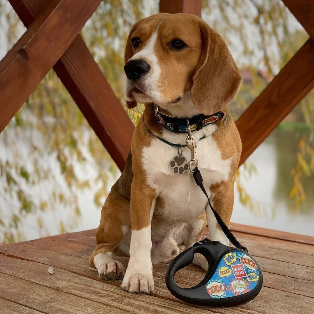 Waudog Retractable Dog Leash - WOW - L