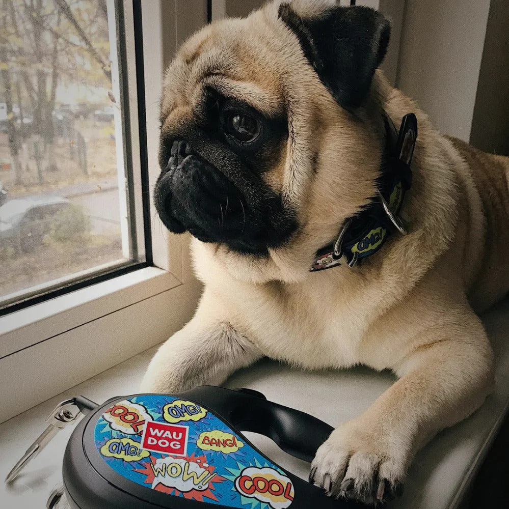 Waudog Retractable Dog Leash - WOW - L