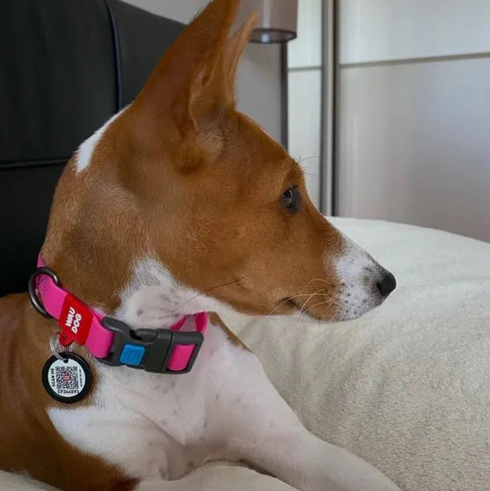 Waudog Waterproof Dog Collar - Plastic Buckle - S - Pink