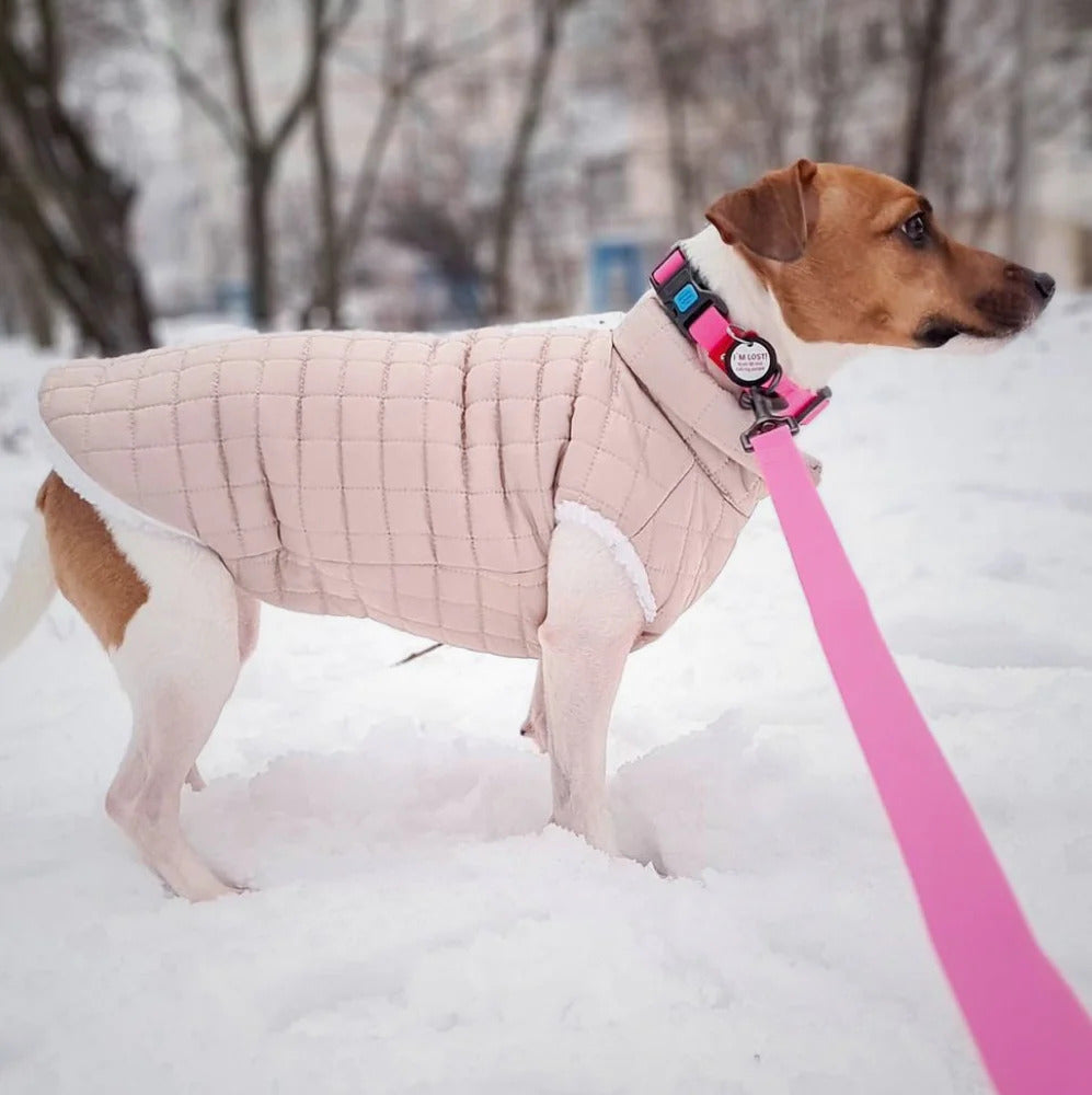 Waudog Waterproof Dog Collar - Plastic Buckle - L - Pink