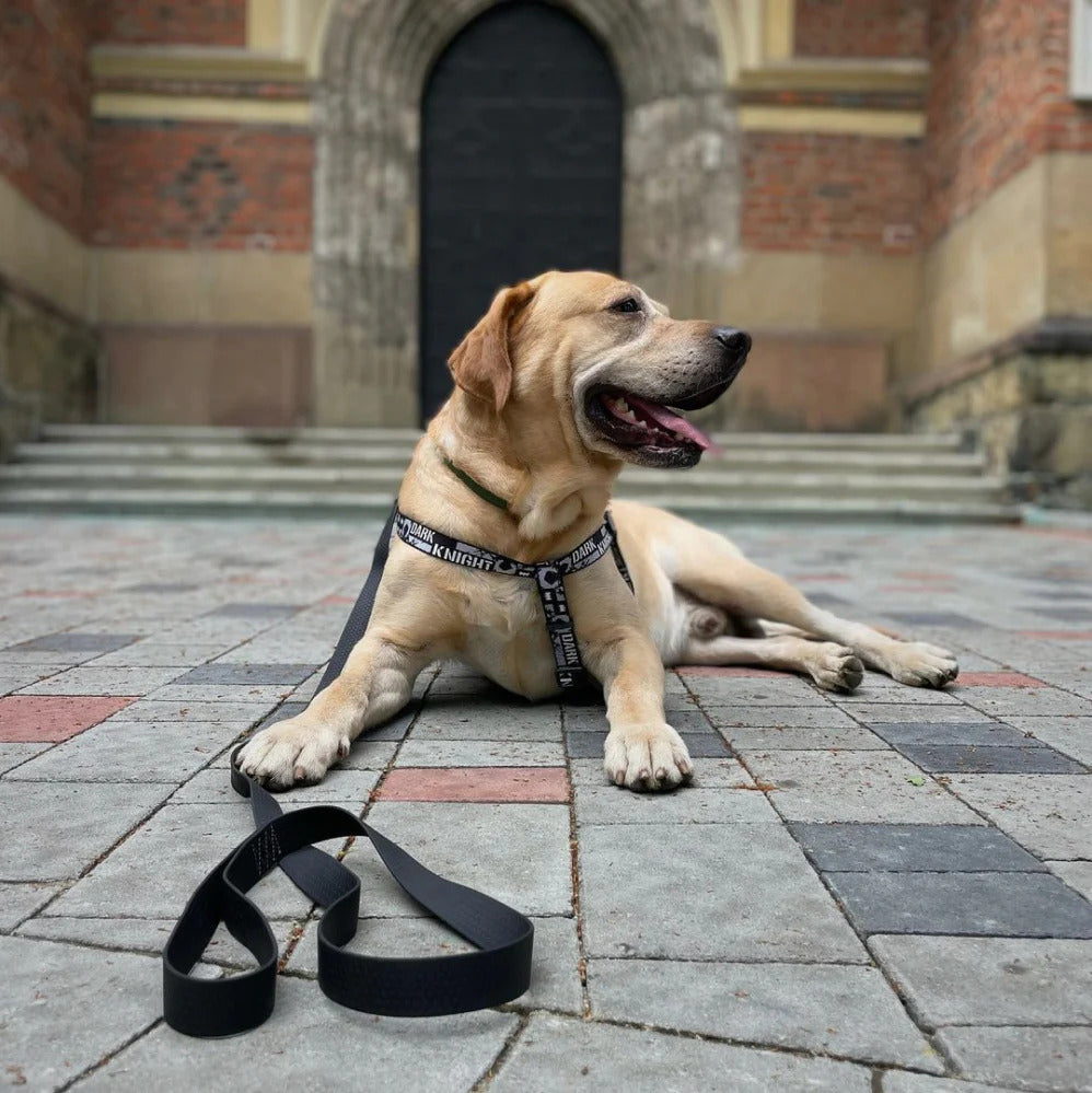 Waudog Waterproof Dog Leash - XXL - Black