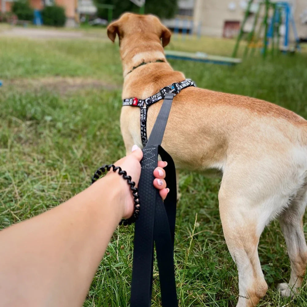 Waudog Waterproof Dog Leash - XXL - Black