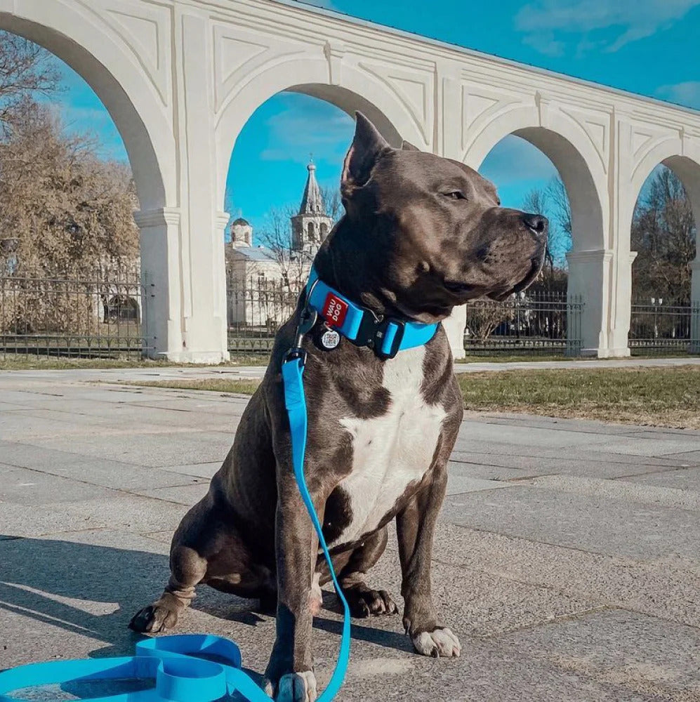 Waudog Waterproof Dog Leash - XXL - Blue