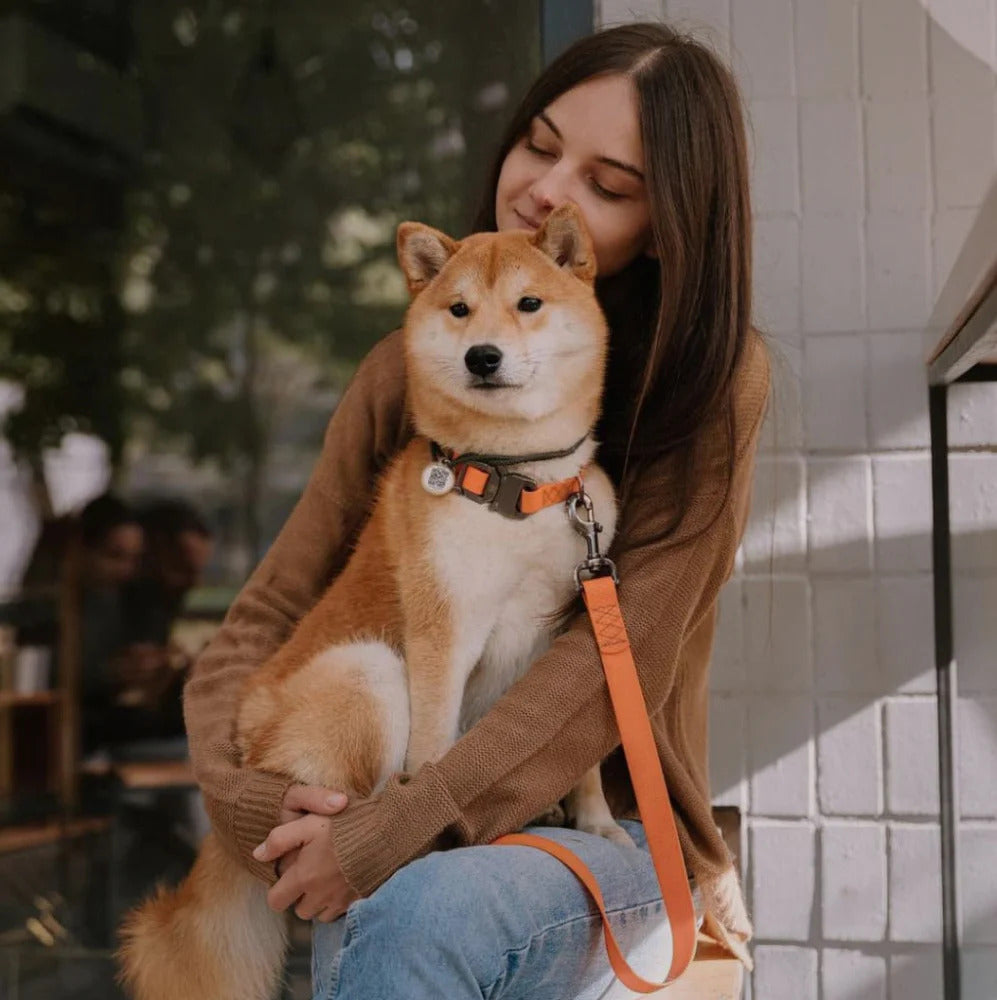 Waudog Waterproof Dog Leash - S - Orange