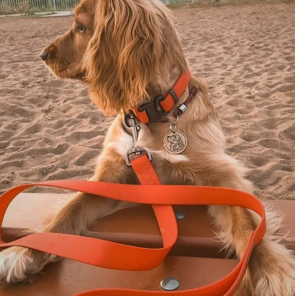 Waudog Waterproof Dog Leash - S - Orange