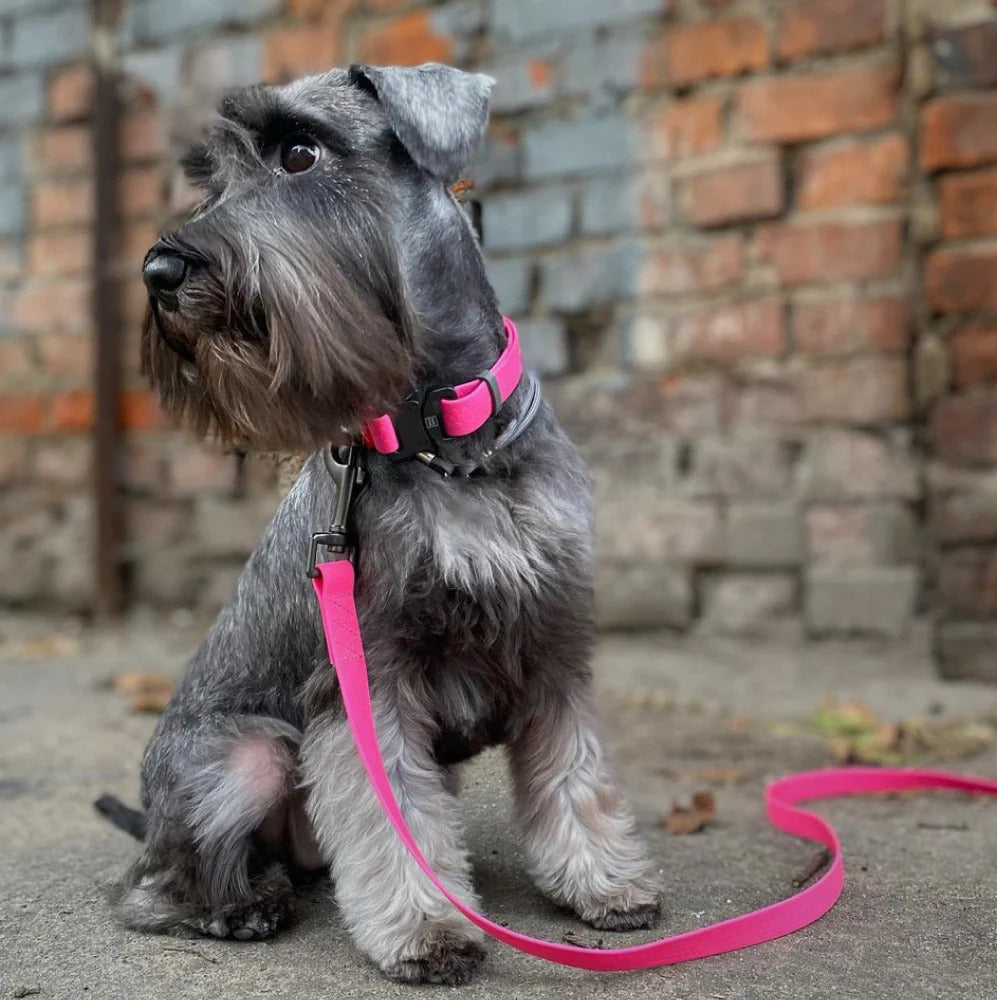 Waudog Waterproof Dog Leash - XXL - Pink