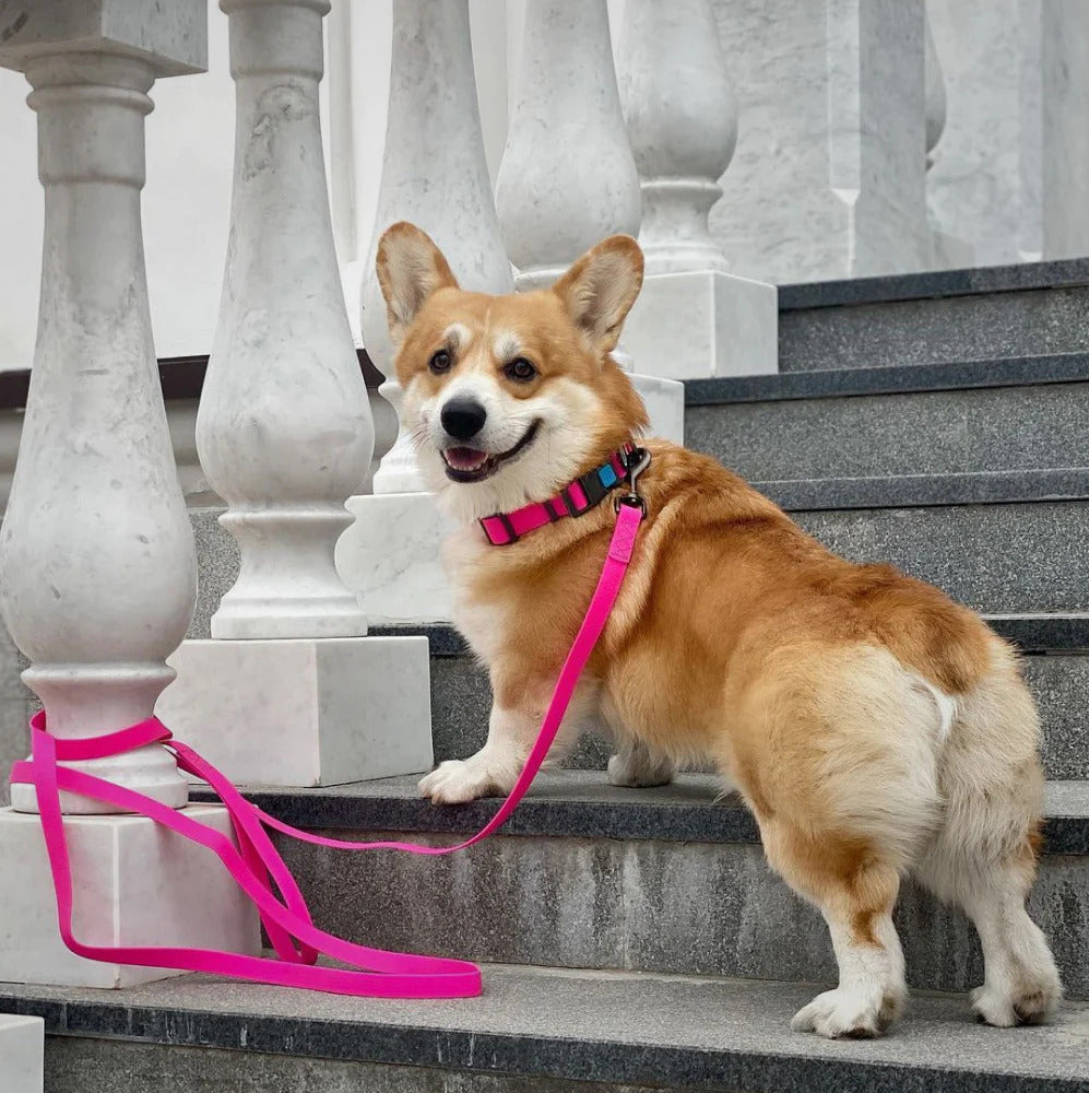 Waudog Waterproof Dog Leash - S - Pink