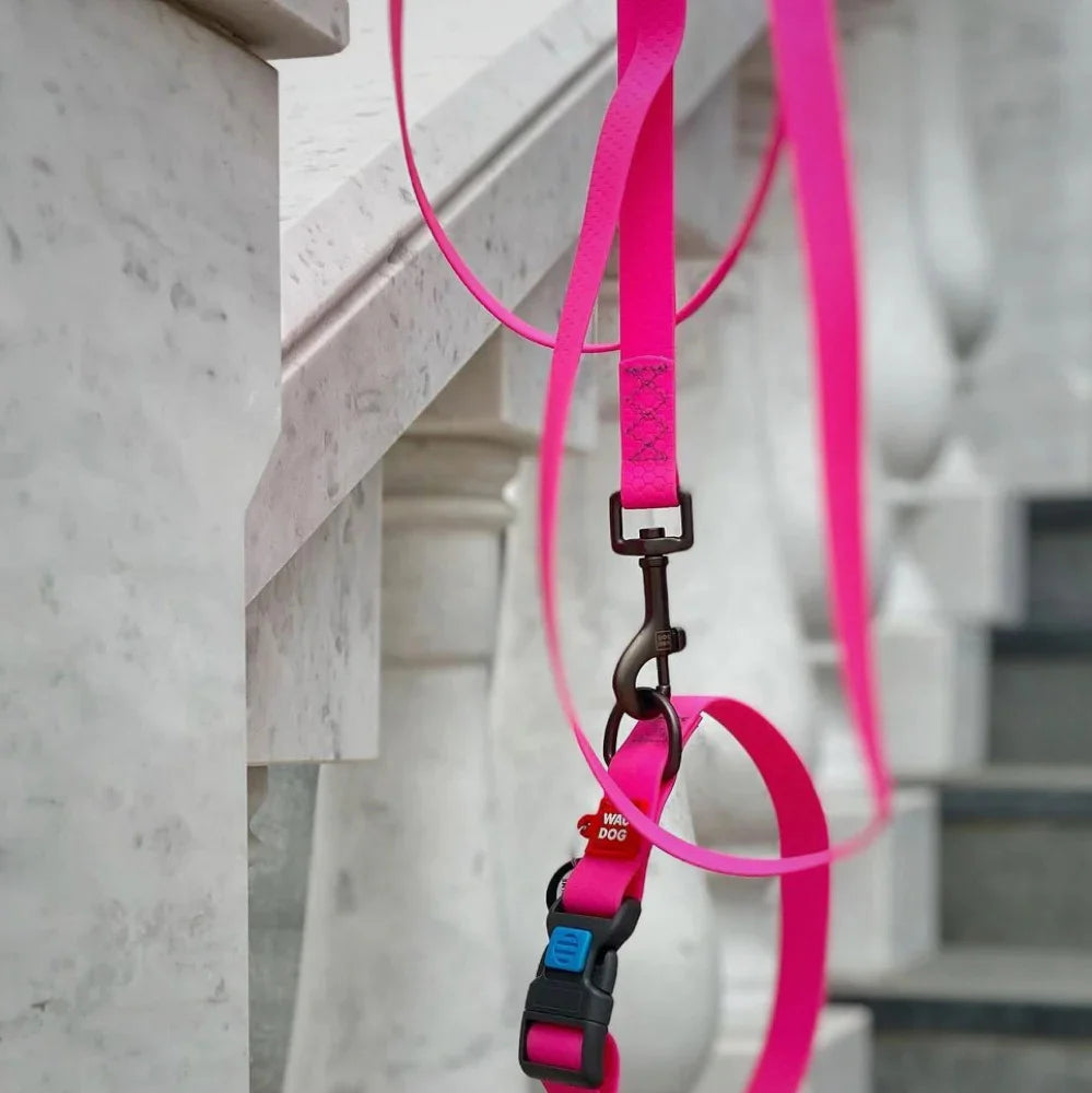 Waudog Waterproof Dog Leash - M - Pink
