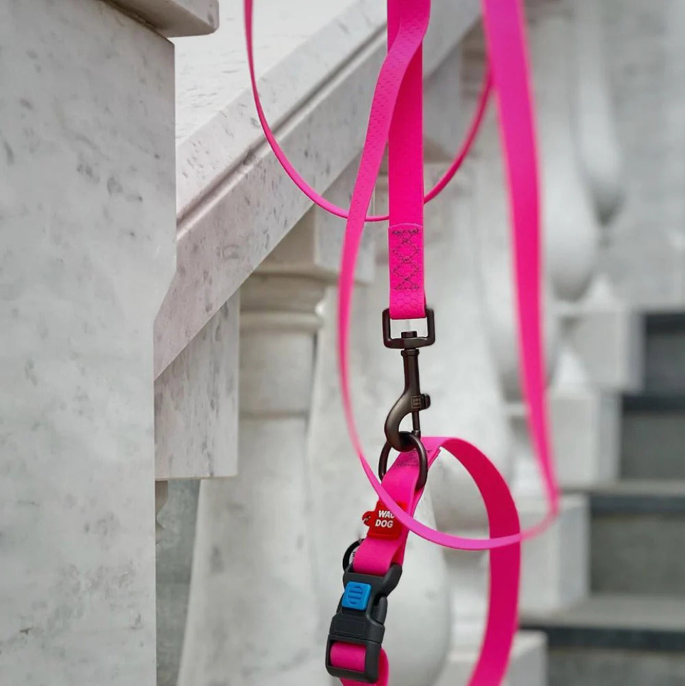 Waudog Waterproof Dog Leash - S - Pink