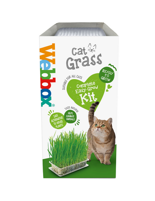 Webbox Cat Treat Cat Grass - 120 g