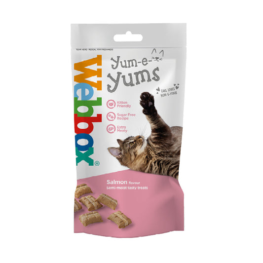 Webbox Cat Treat Yum-e-Yums Salmon - 40g