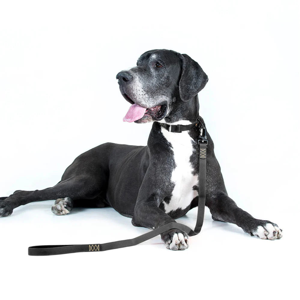 Evolutor Dog Leash - One Size